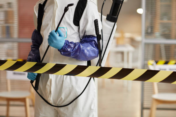 Professional Sewage Cleanup technician working in Lockwood, CA